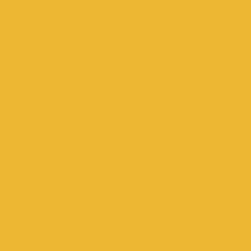 SIGNAL GUL / Signal Yellow Folie 126 cm (5 mtr)