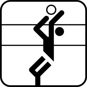 VOLLYBALL P120 PIKTOGRAM - Sport