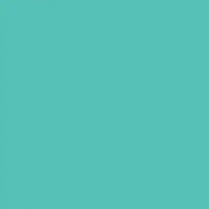 MINTGRØN / MINT FOLIE 63 CM - Folie på metermål