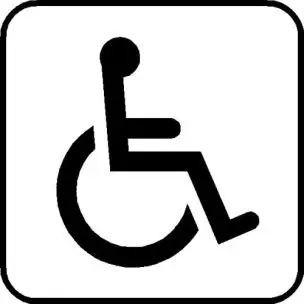 HANDICAP P53 PIKTOGRAM - Bil - Bilpleje